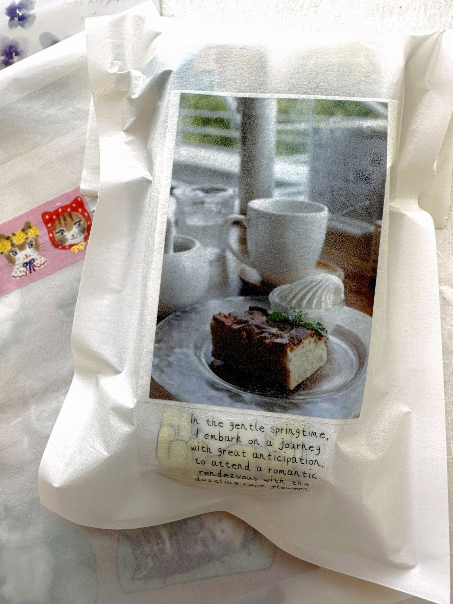 Mosswood Studio - The Moment washi tape SAMPLES