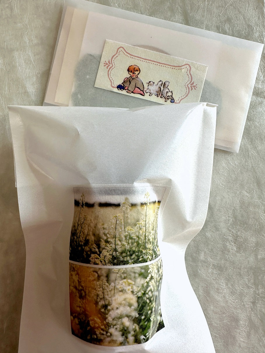 Mosswood Studio - The Moment washi tape SAMPLES