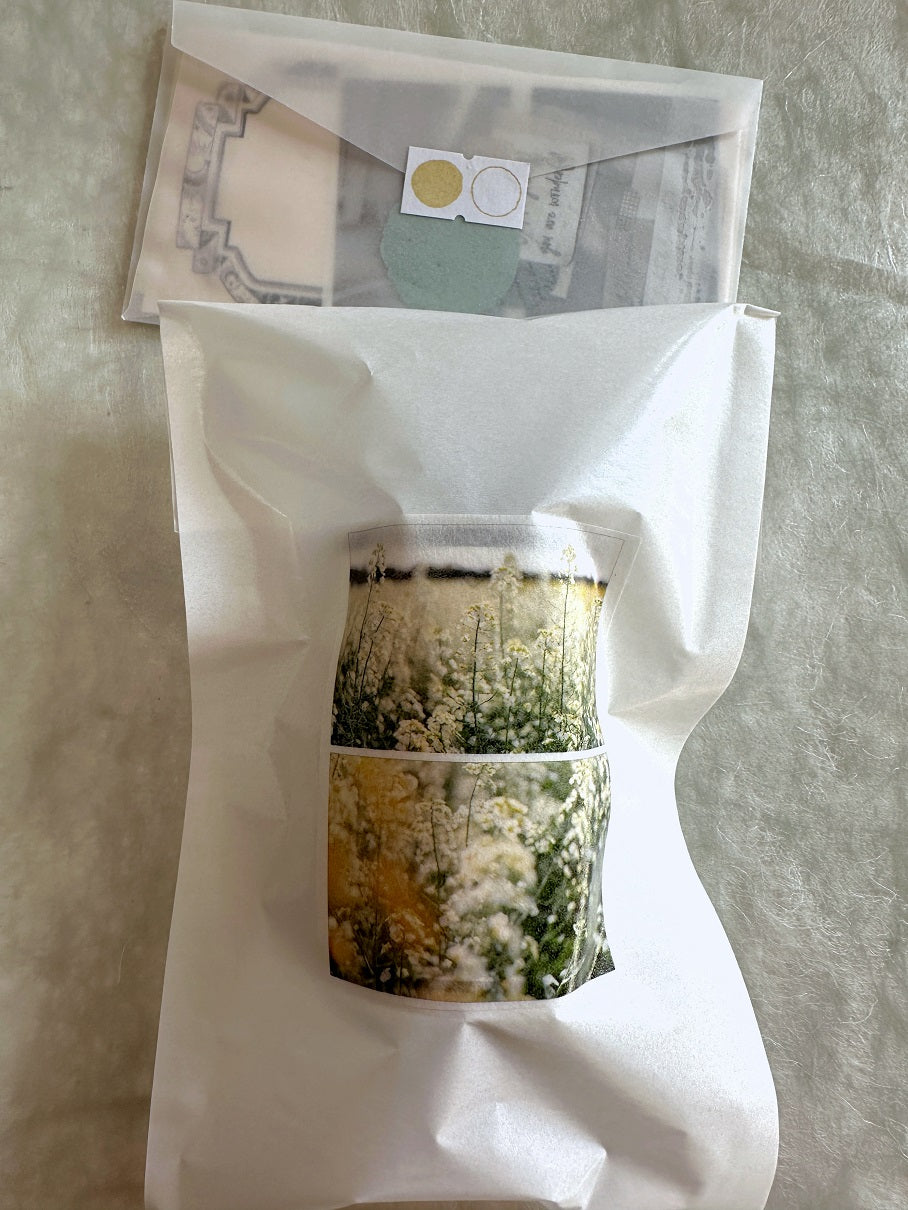 Mosswood Studio - The Moment washi tape SAMPLES