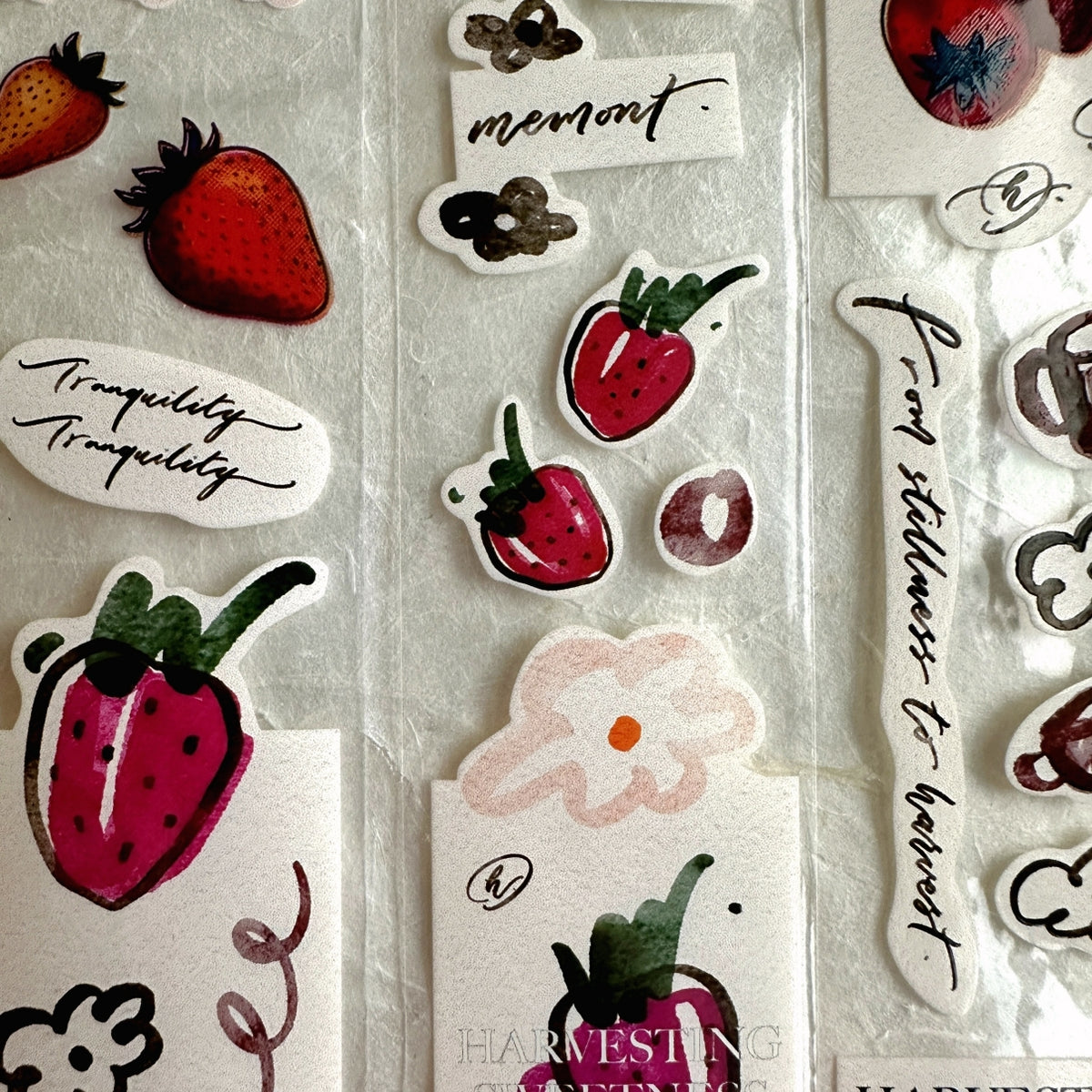 Mr. Eggplants - Harvesting Sweetness PET tape SAMPLES