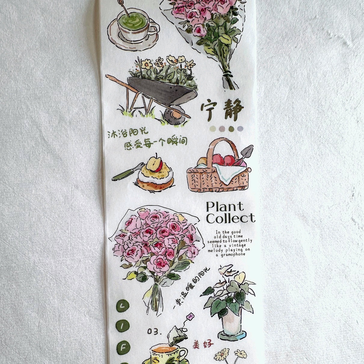 Muguang - Green Time washi tape SAMPLES
