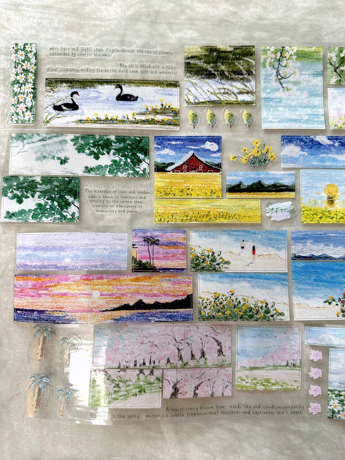 MuZiShan Studio - Looking for Spring kiss-cut PET tape (5 cm x 115 cm) SAMPLES