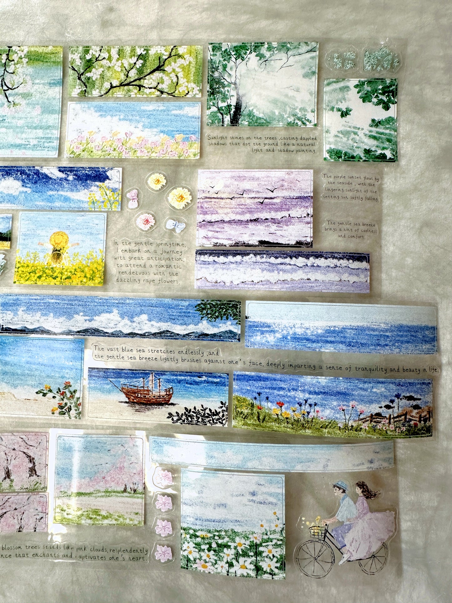 MuZiShan Studio - Looking for Spring kiss-cut PET tape (5 cm x 115 cm) SAMPLES