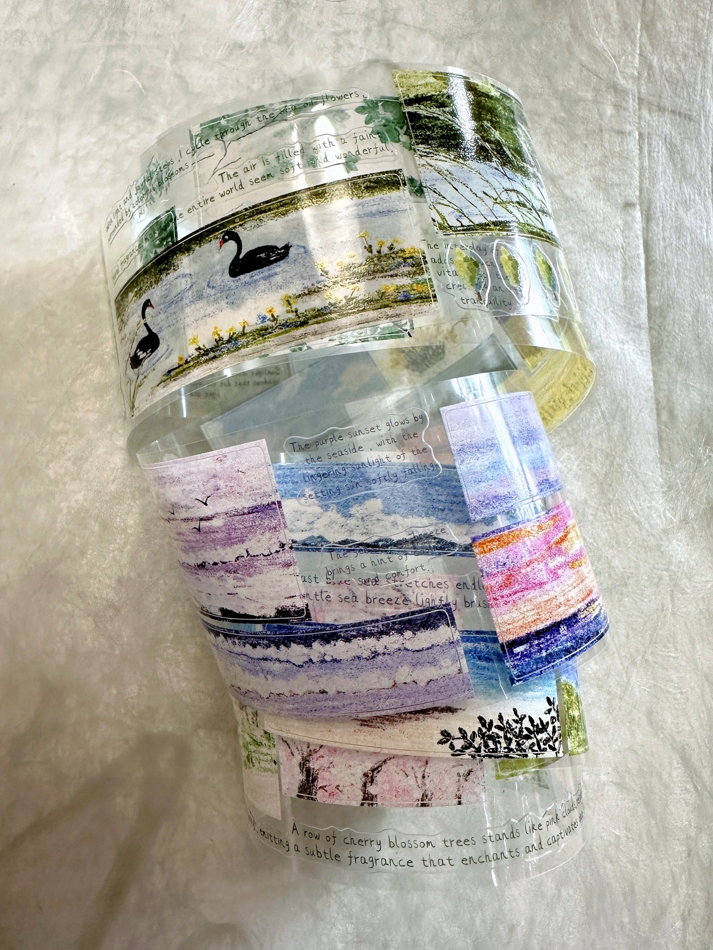 MuZiShan Studio - Looking for Spring kiss-cut PET tape (5 cm x 115 cm) SAMPLES