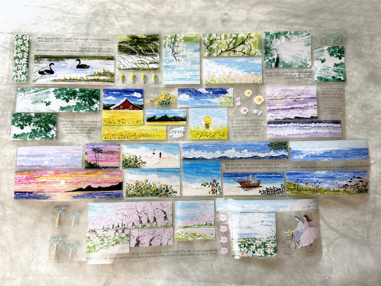 MuZiShan Studio - Looking for Spring kiss-cut PET tape (5 cm x 115 cm) SAMPLES