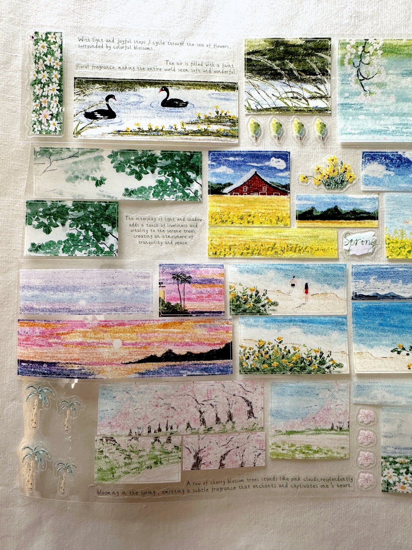 MuZiShan Studio - Looking for Spring kiss-cut PET tape (5 cm x 115 cm) SAMPLES
