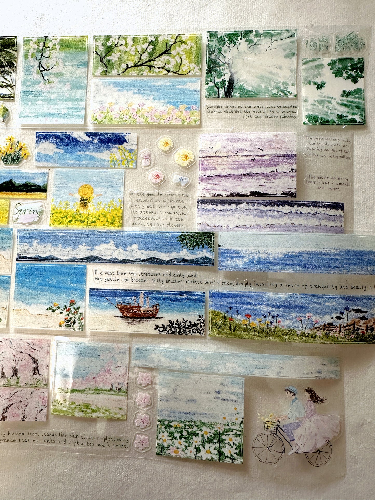 MuZiShan Studio - Looking for Spring kiss-cut PET tape (5 cm x 115 cm) SAMPLES