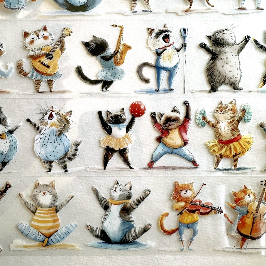 NeverLand Studio - Cat's Got Talent PET tape SAMPLES