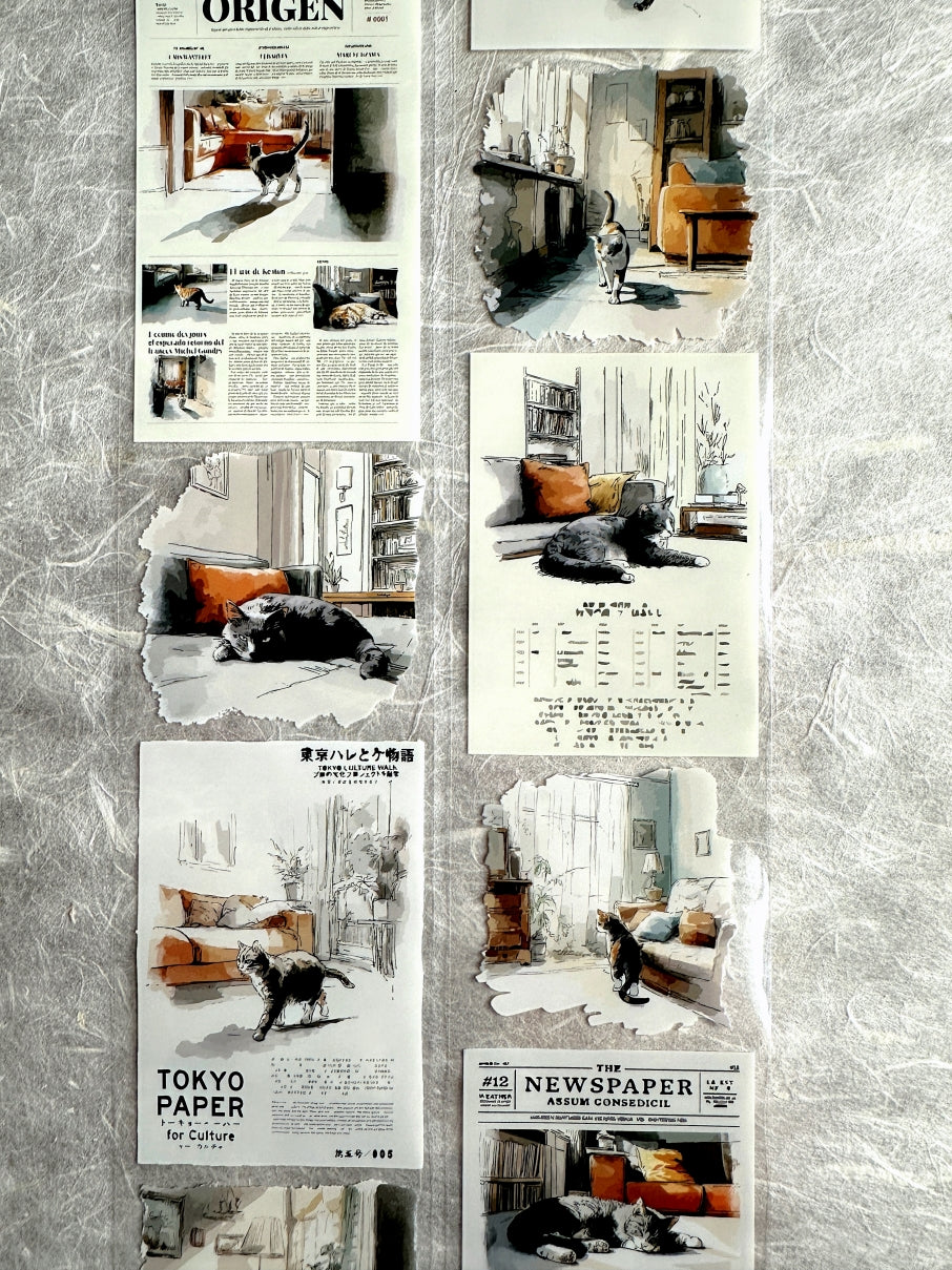 Neverland Studio - Mr. Lazy Cat PET tape SAMPLES