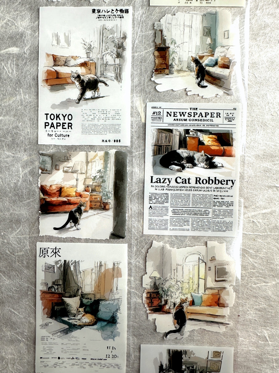 Neverland Studio - Mr. Lazy Cat PET tape SAMPLES