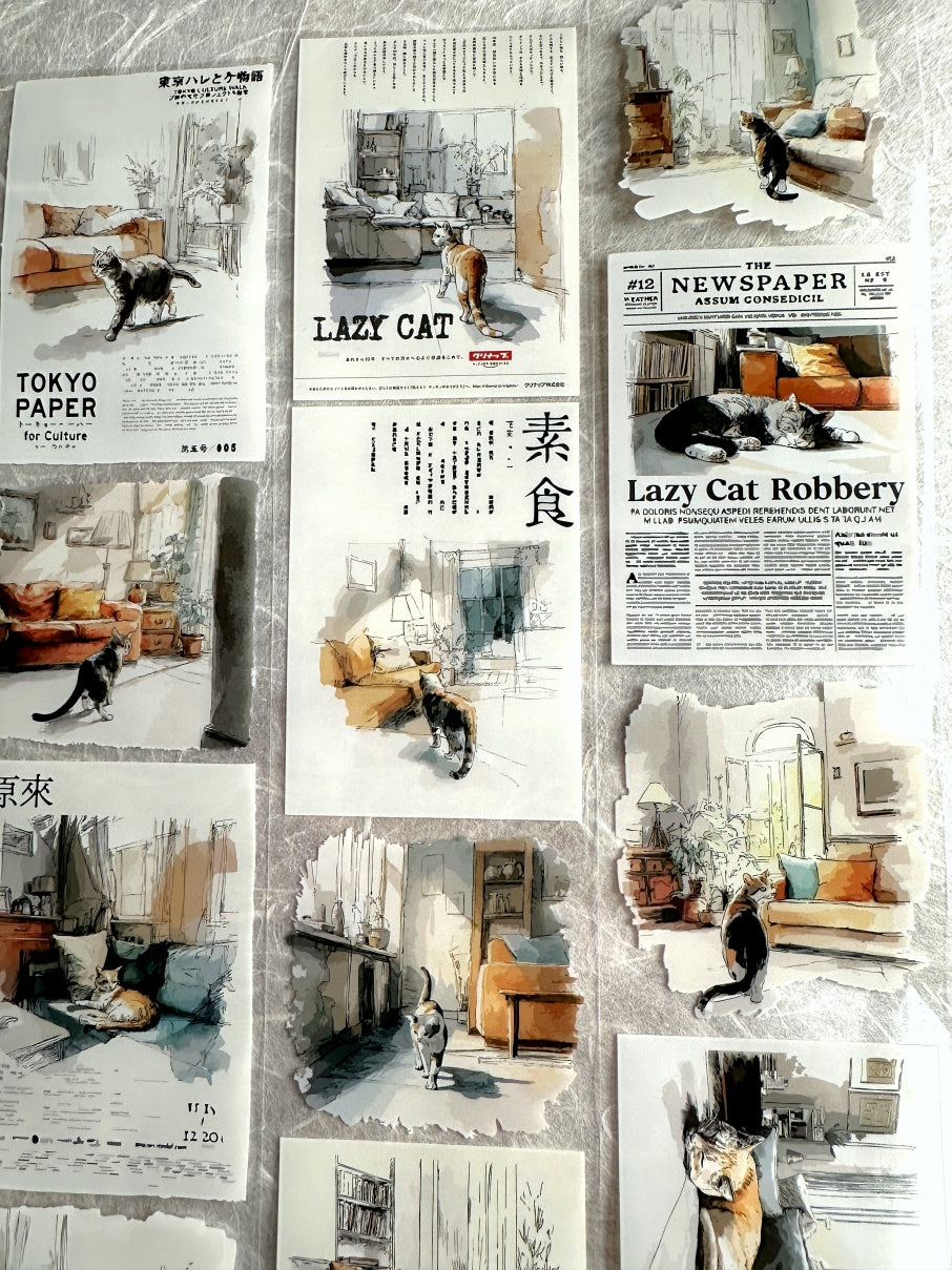 Neverland Studio - Mr. Lazy Cat PET tape SAMPLES