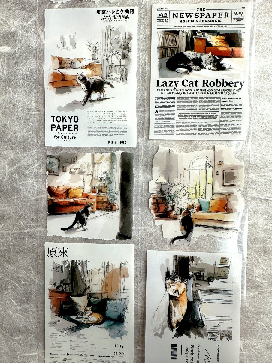 Neverland Studio - Mr. Lazy Cat PET tape SAMPLES