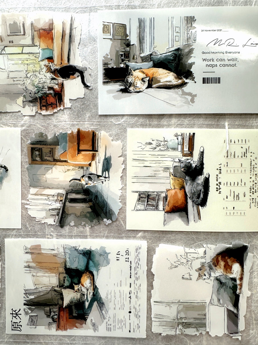 Neverland Studio - Mr. Lazy Cat PET tape SAMPLES