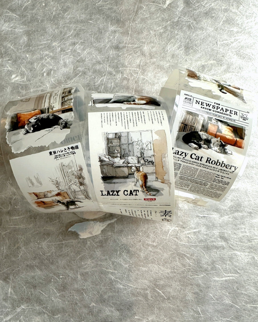 Neverland Studio - Mr. Lazy Cat PET tape SAMPLES
