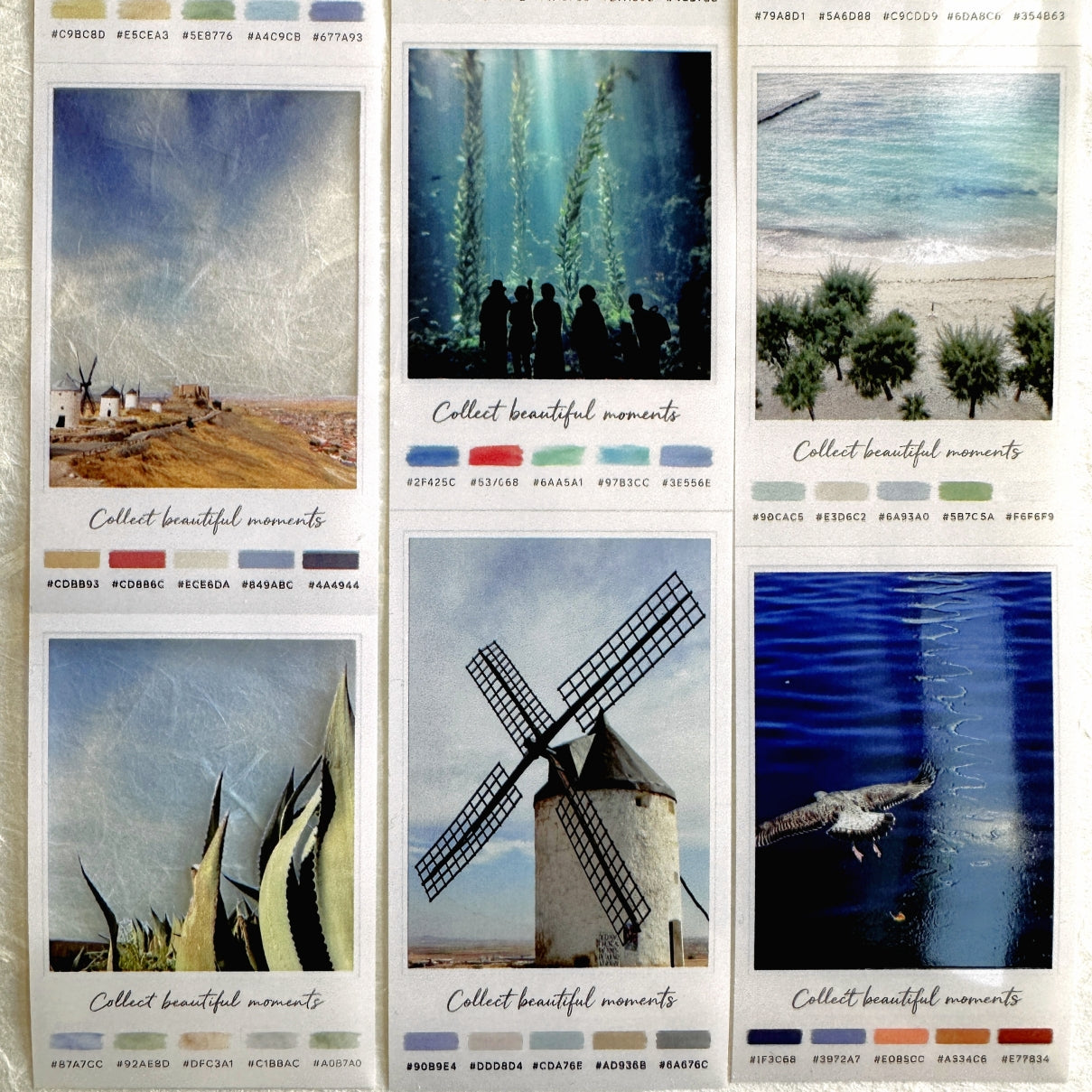 Neverland Studio - Nature Snapshots PET tape SAMPLES