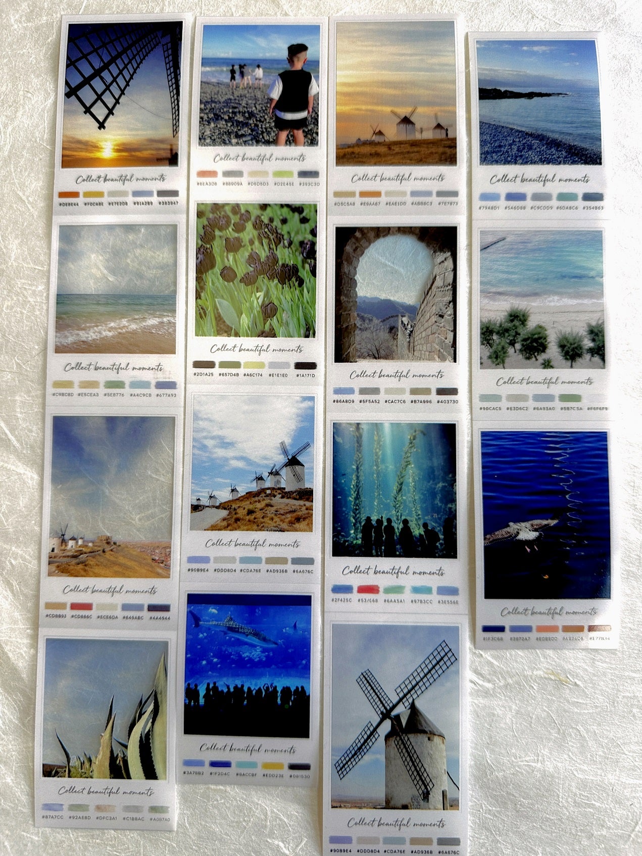Neverland Studio - Nature Snapshots PET tape SAMPLES