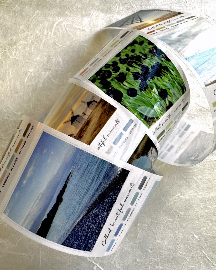 Neverland Studio - Nature Snapshots PET tape SAMPLES