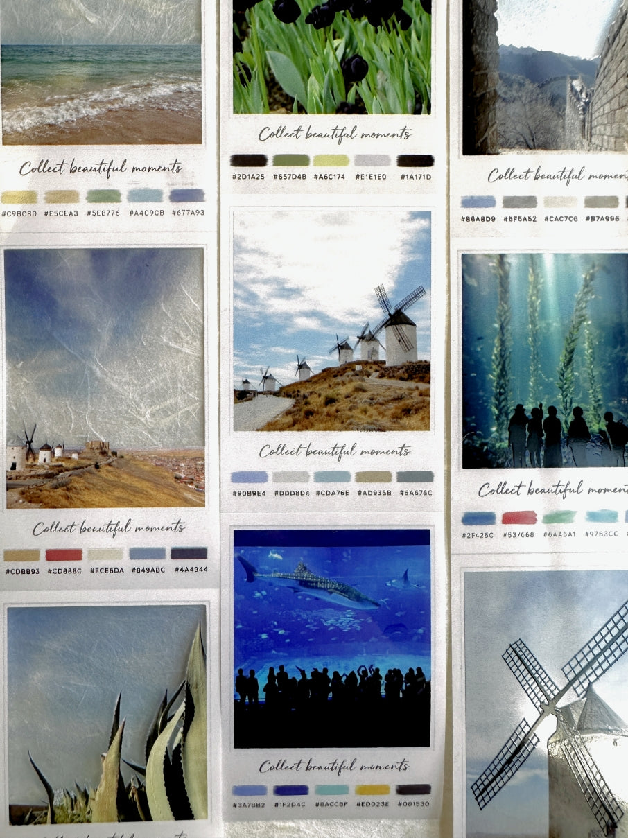 Neverland Studio - Nature Snapshots PET tape SAMPLES