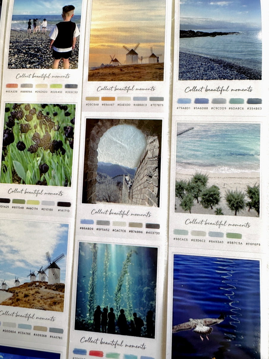Neverland Studio - Nature Snapshots PET tape SAMPLES
