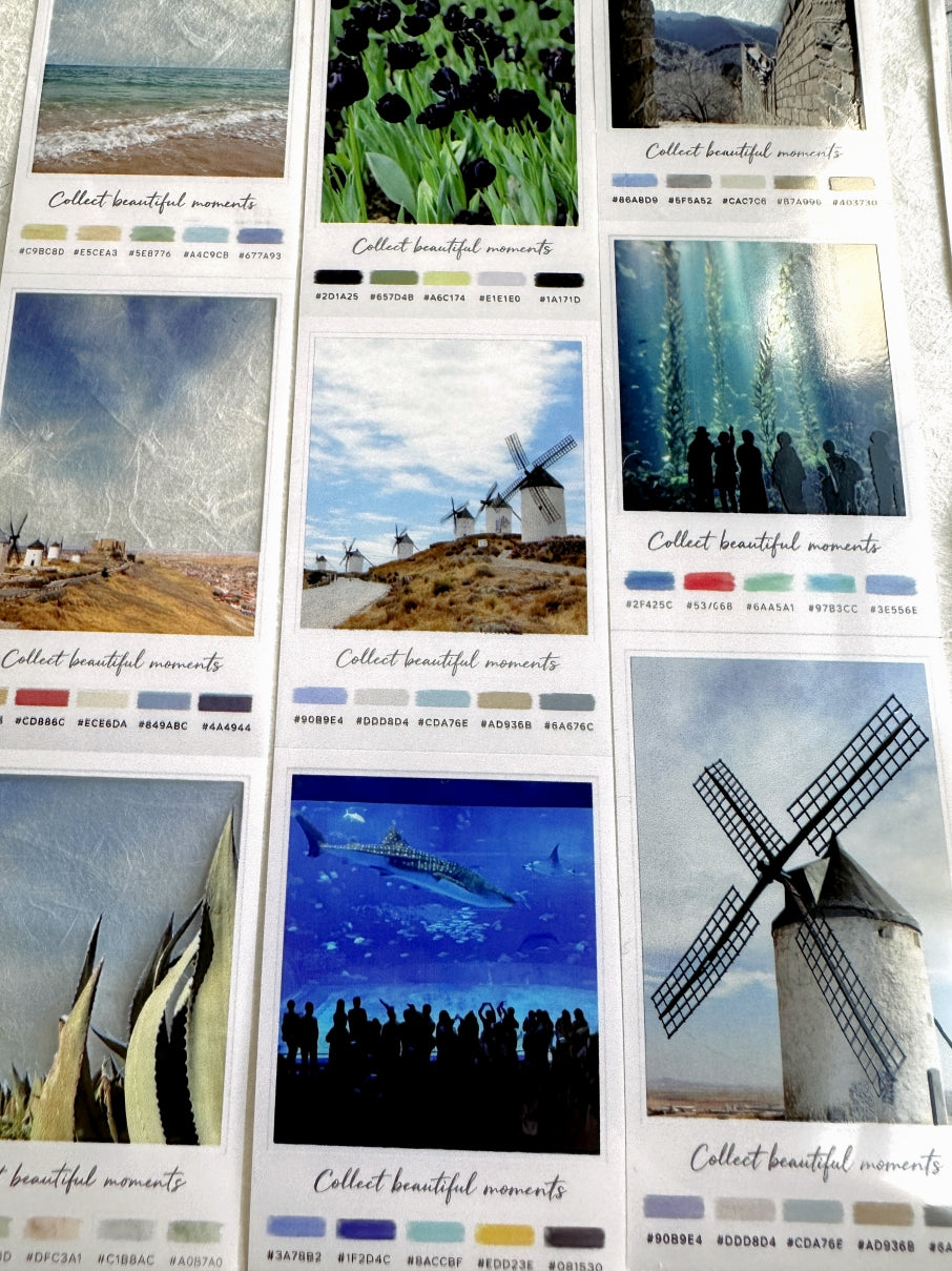 Neverland Studio - Nature Snapshots PET tape SAMPLES