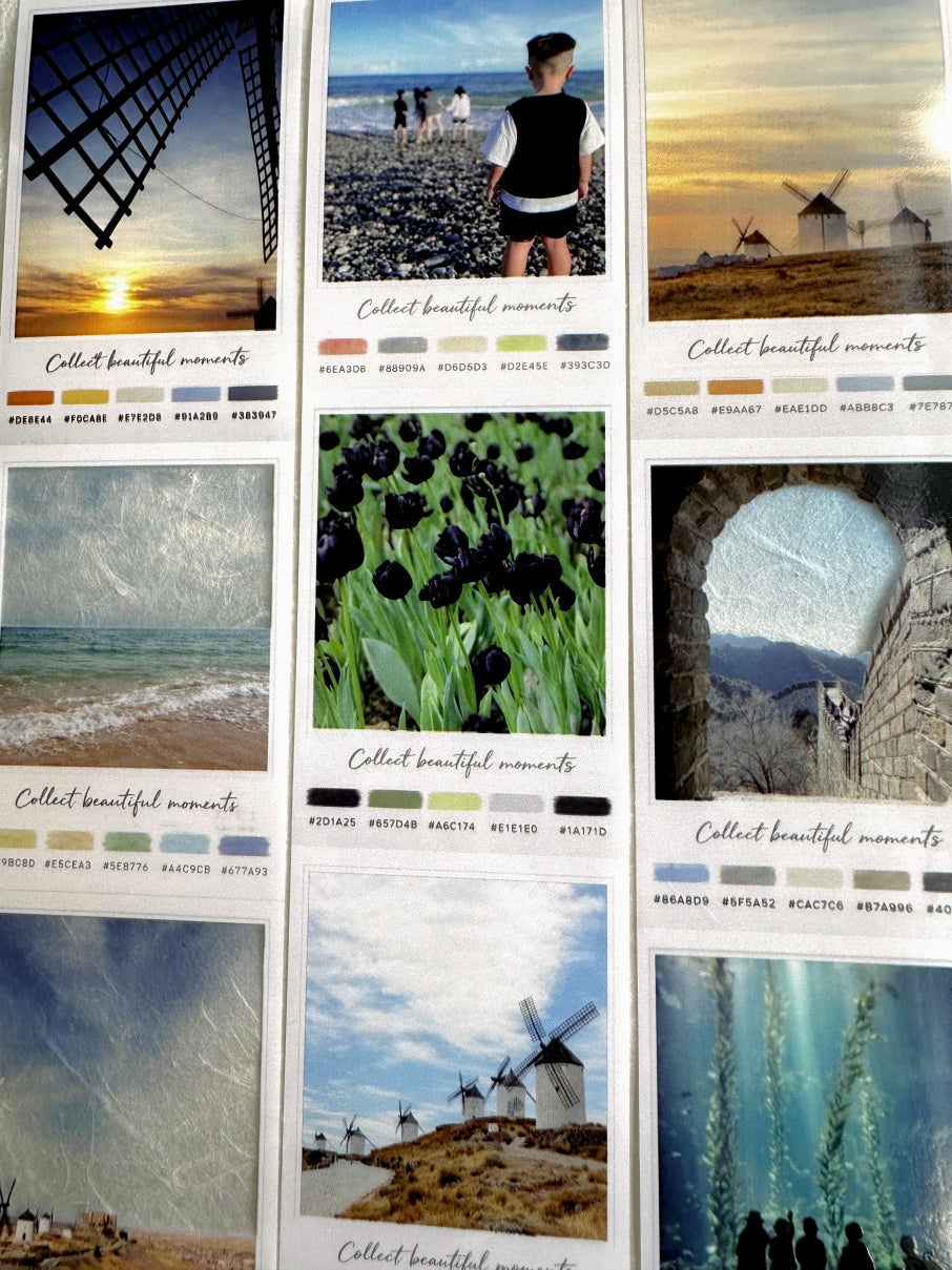 Neverland Studio - Nature Snapshots PET tape SAMPLES