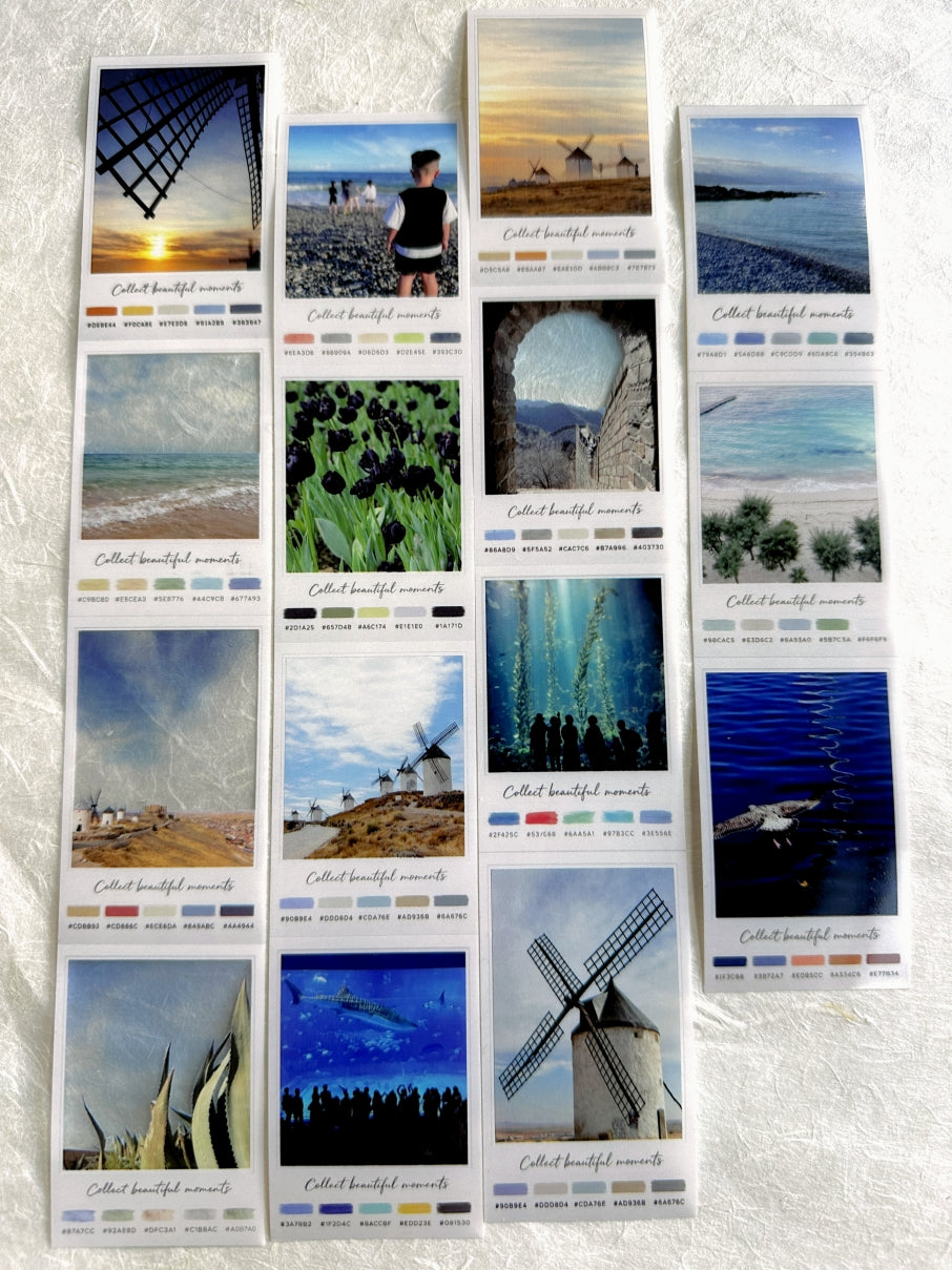Neverland Studio - Nature Snapshots PET tape SAMPLES