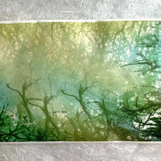 OKMT - Gazing at Branches Aglow extra-wide washi tape (10 cm x 100 cm) SAMPLES