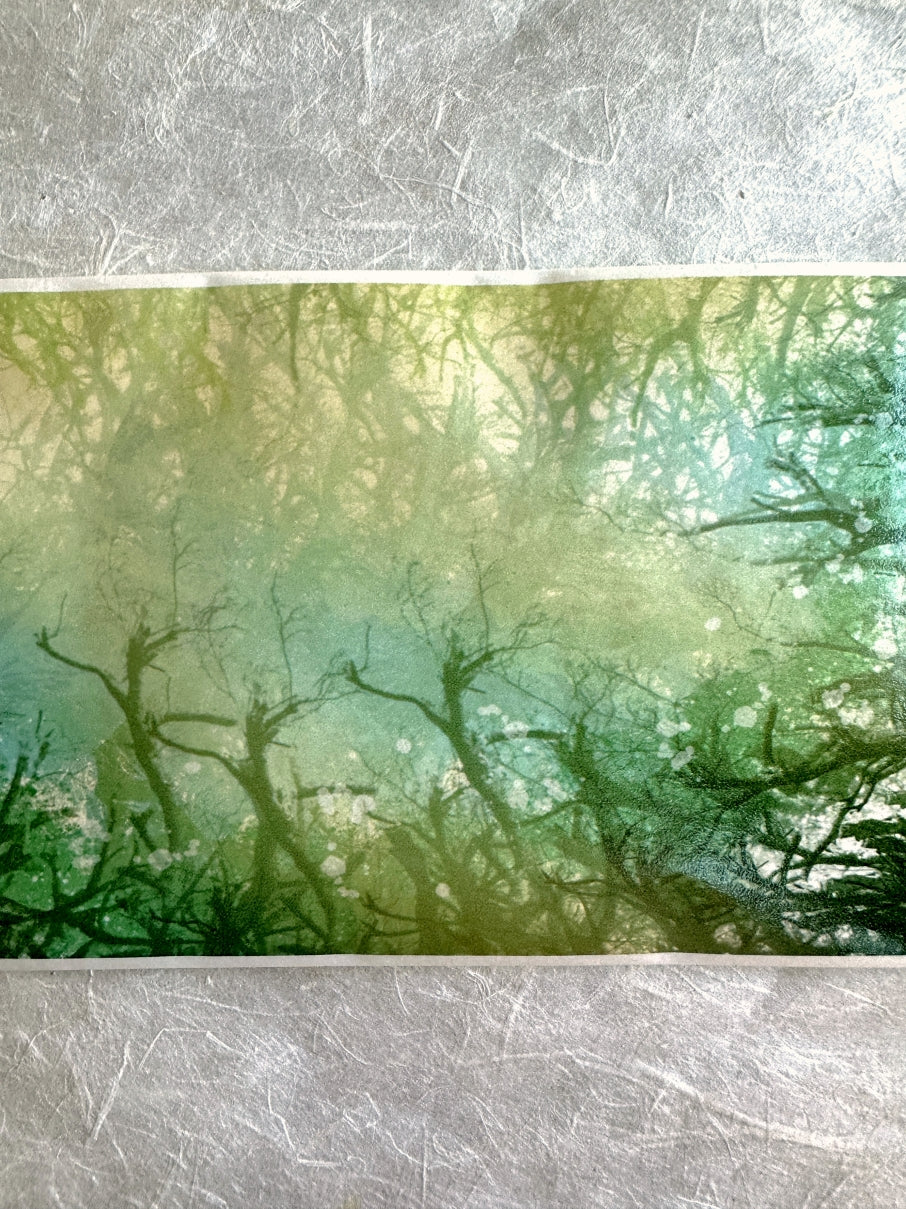 OKMT - Gazing at Branches Aglow extra-wide washi tape (10 cm x 100 cm) SAMPLES