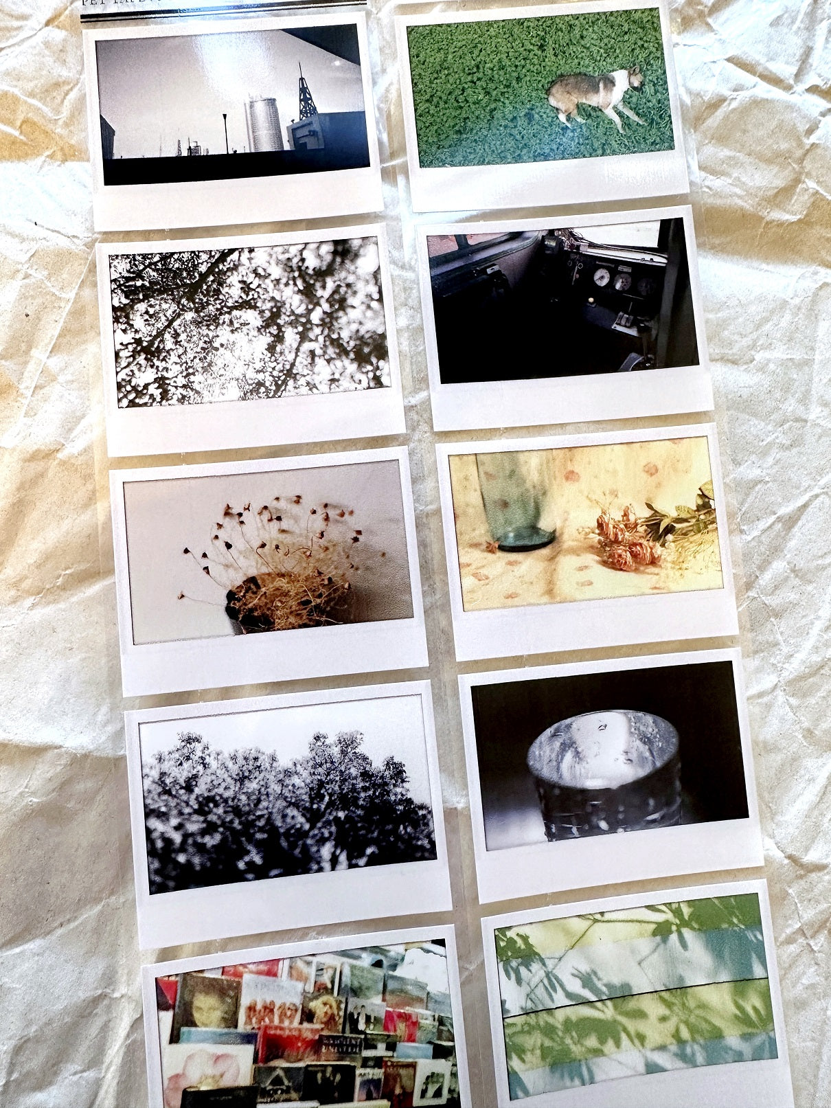 Oneoverone Studio - Take a Picture Vol. 2 PET tape SAMPLES
