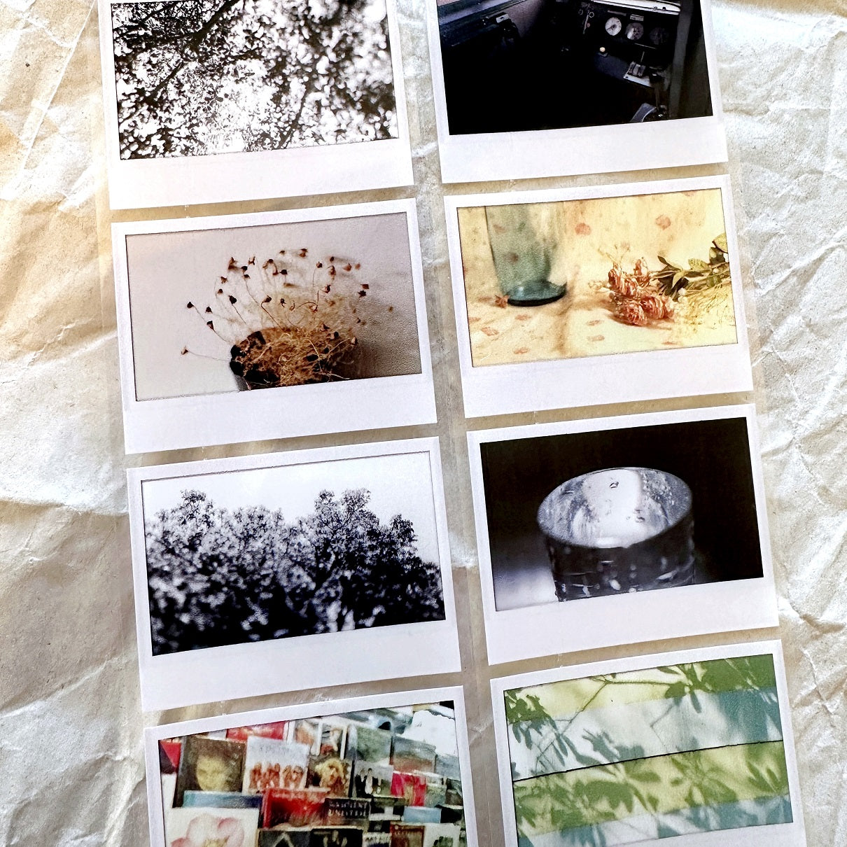 Oneoverone Studio - Take a Picture Vol. 2 PET tape SAMPLES