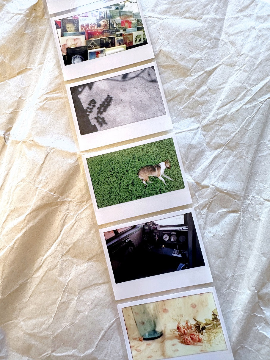 Oneoverone Studio - Take a Picture Vol. 2 PET tape SAMPLES