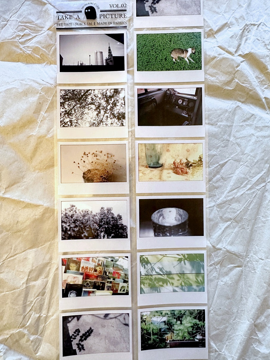 Oneoverone Studio - Take a Picture Vol. 2 PET tape SAMPLES