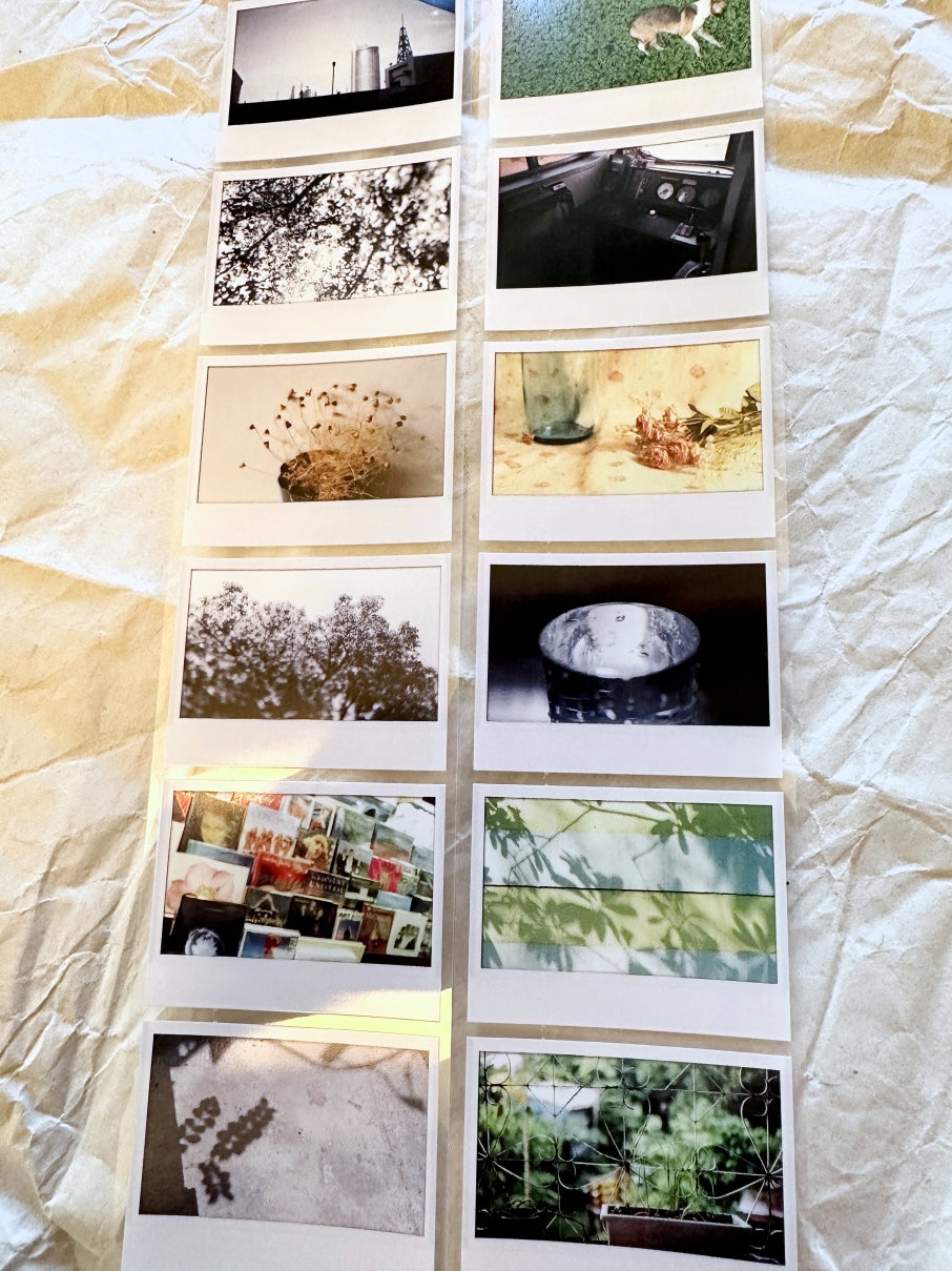 Oneoverone Studio - Take a Picture Vol. 2 PET tape SAMPLES