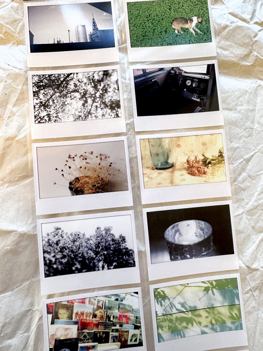 Oneoverone Studio - Take a Picture Vol. 2 PET tape SAMPLES