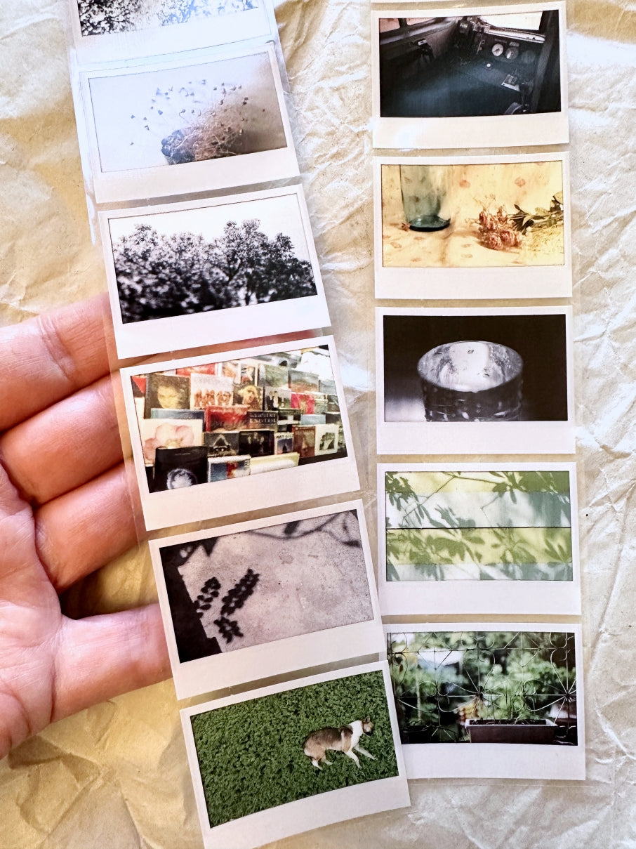 Oneoverone Studio - Take a Picture Vol. 2 PET tape SAMPLES