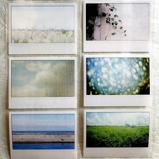 Oneoverone Studio - Take a Picture Vol. 3 PET tape SAMPLES