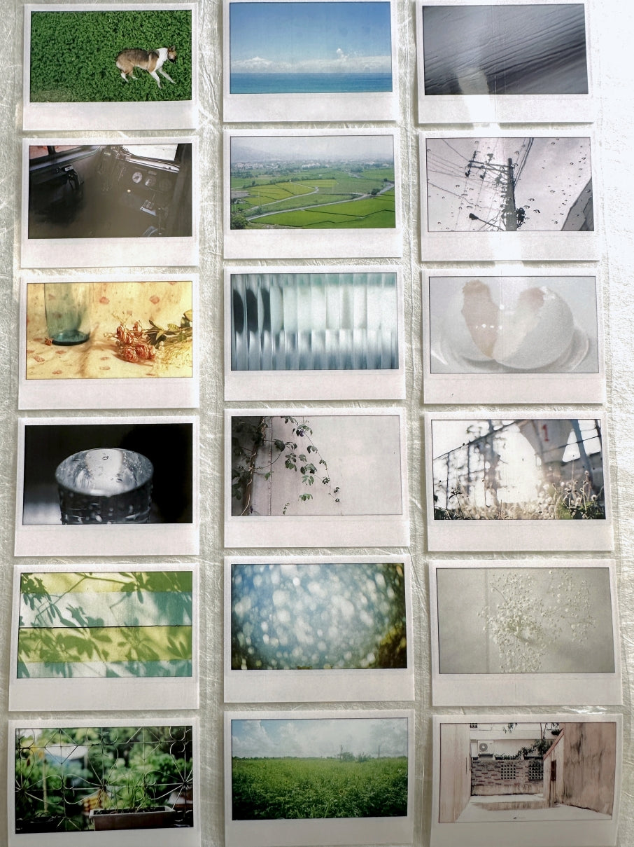 Oneoverone Studio - Take a Picture Vol. 4 PET tape SAMPLES