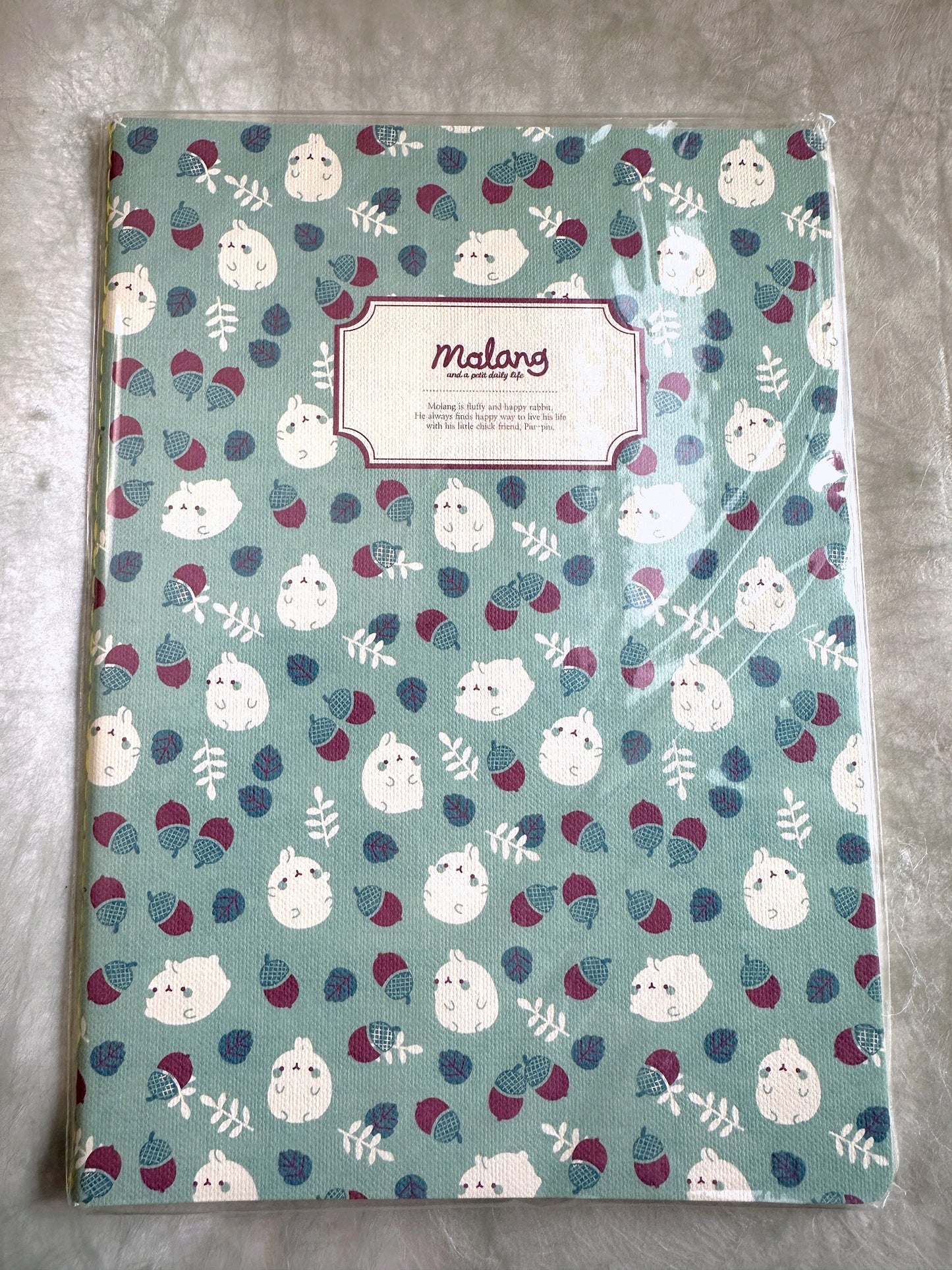Molang - Daily Life ruled notebooks [New in package]