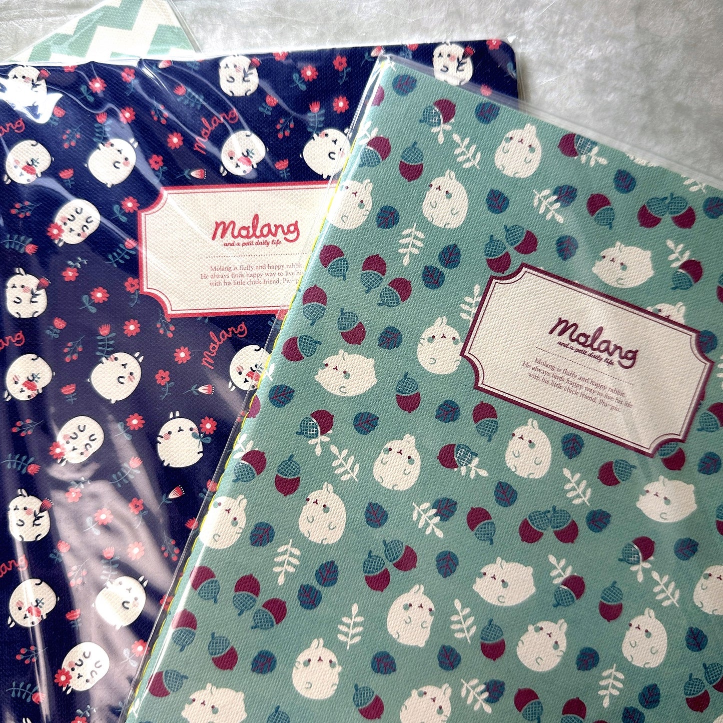 Molang - Daily Life ruled notebooks [New in package]