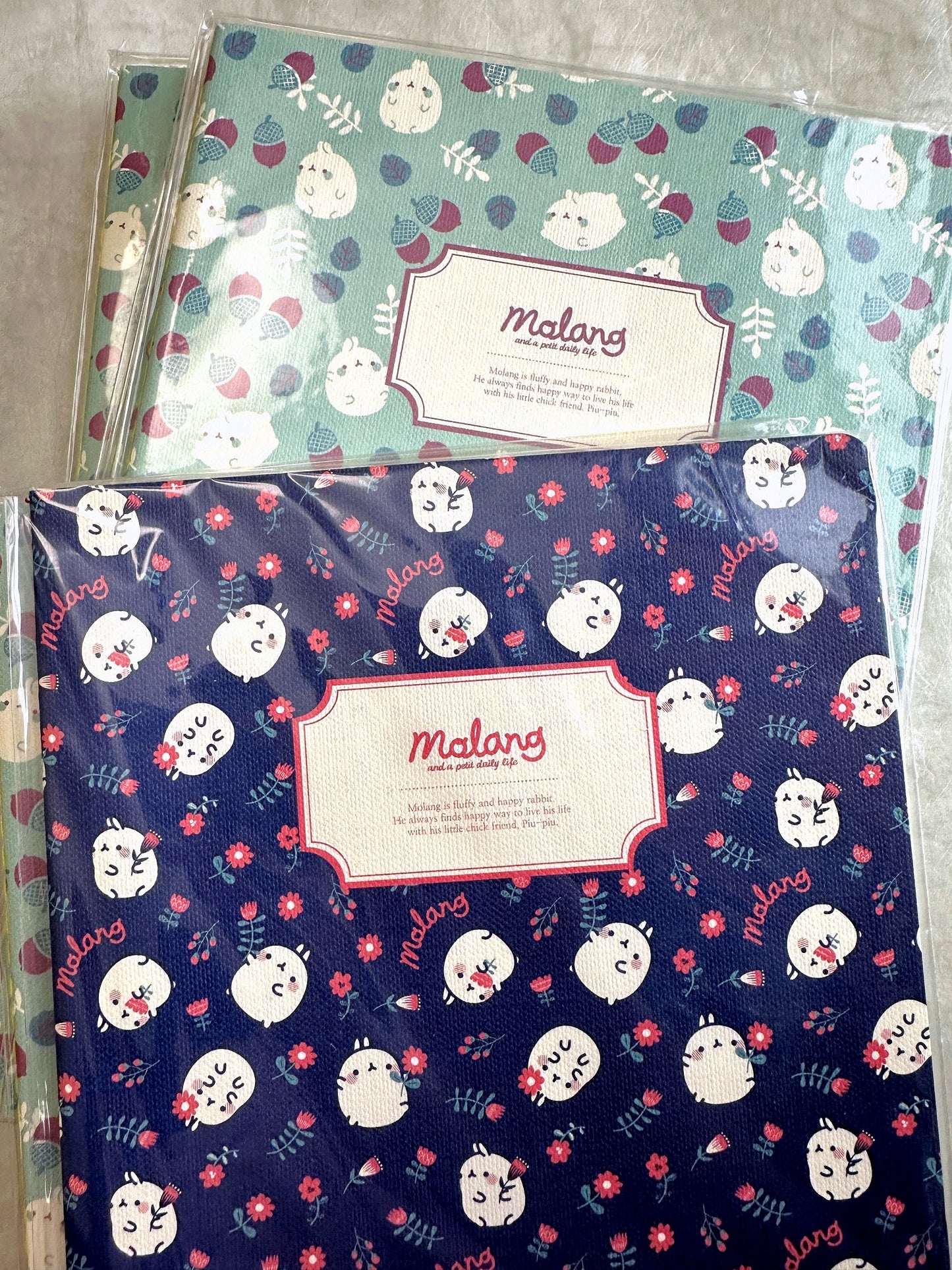 Molang - Daily Life ruled notebooks [New in package]