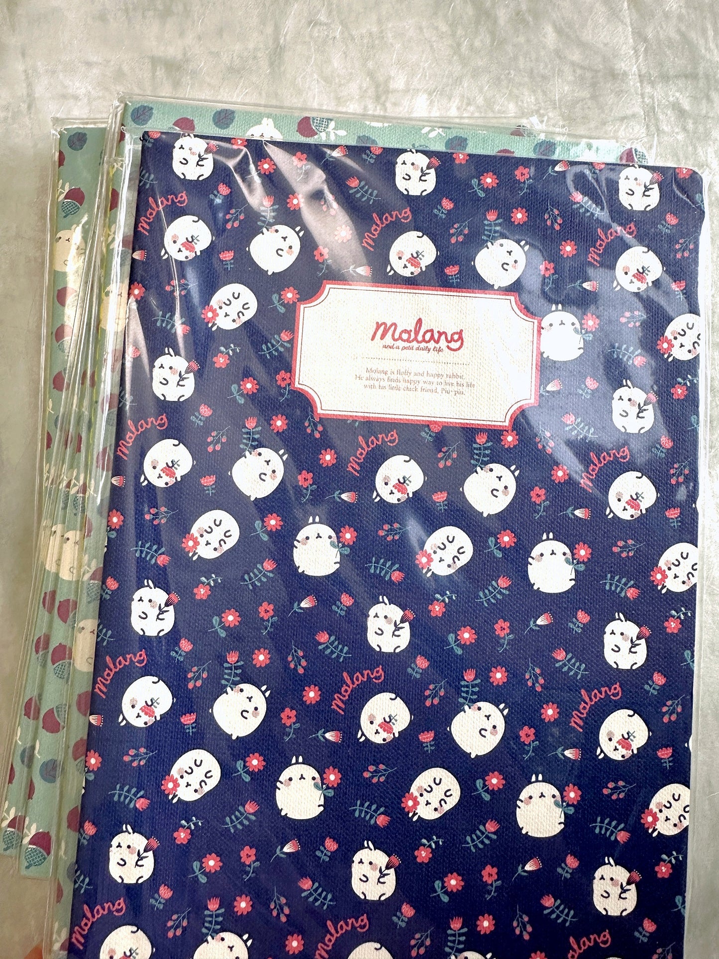 Molang - Daily Life ruled notebooks [New in package]