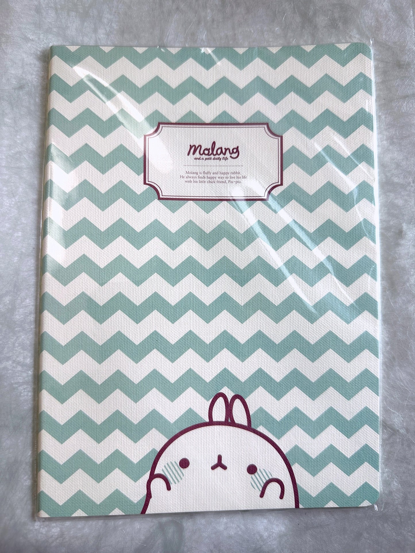 Molang - Daily Life ruled notebooks [New in package]