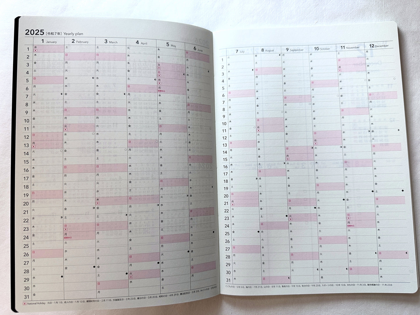 Nolty - A5 Planner No. 6806 Tio, 2-Week Block layout 2025 [CLEARANCE] Note: If you want to try the format before investing in a 2026 edition