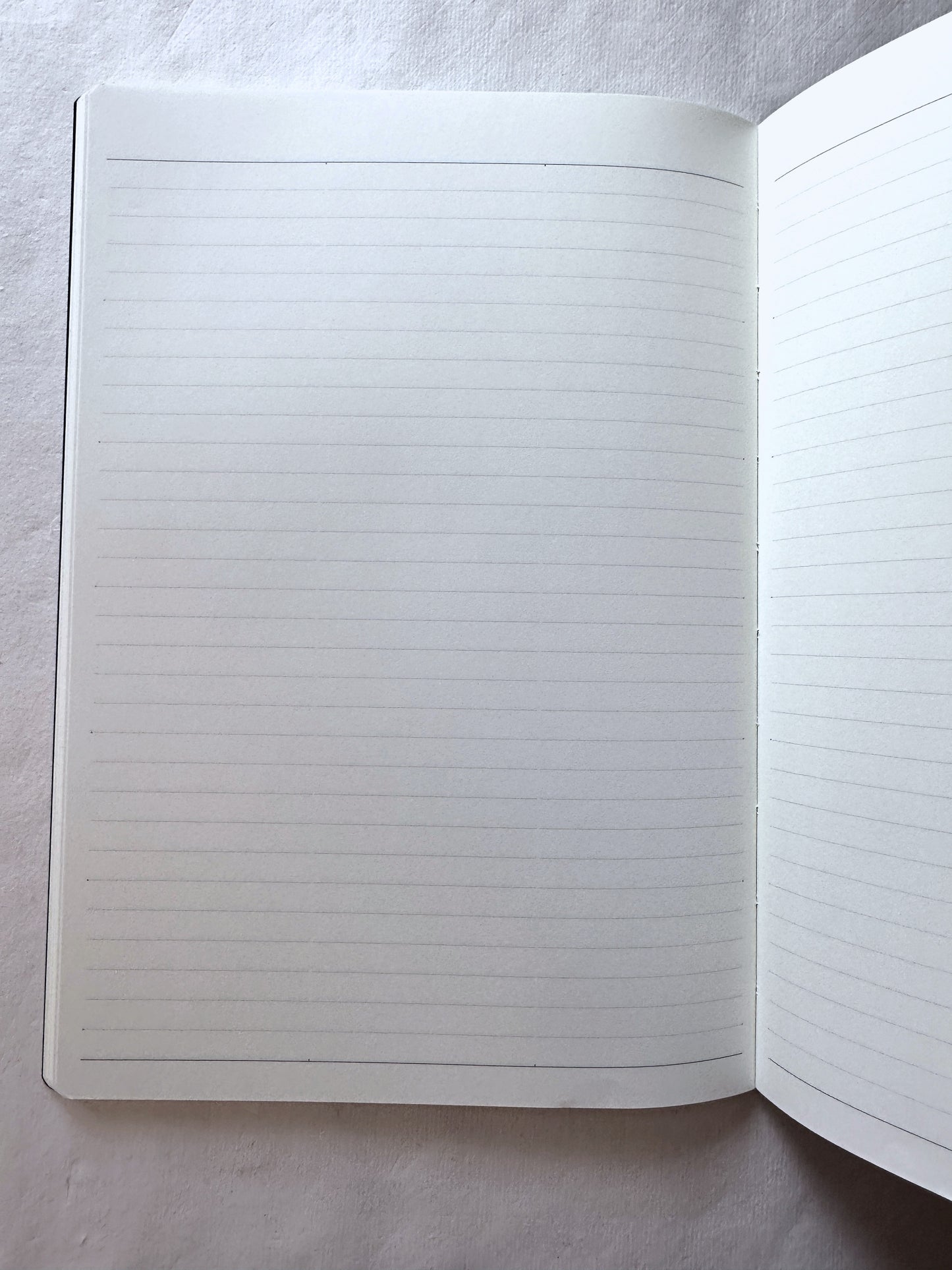 Nolty - A5 Planner No. 6806 Tio, 2-Week Block layout 2025 [CLEARANCE] Note: If you want to try the format before investing in a 2026 edition