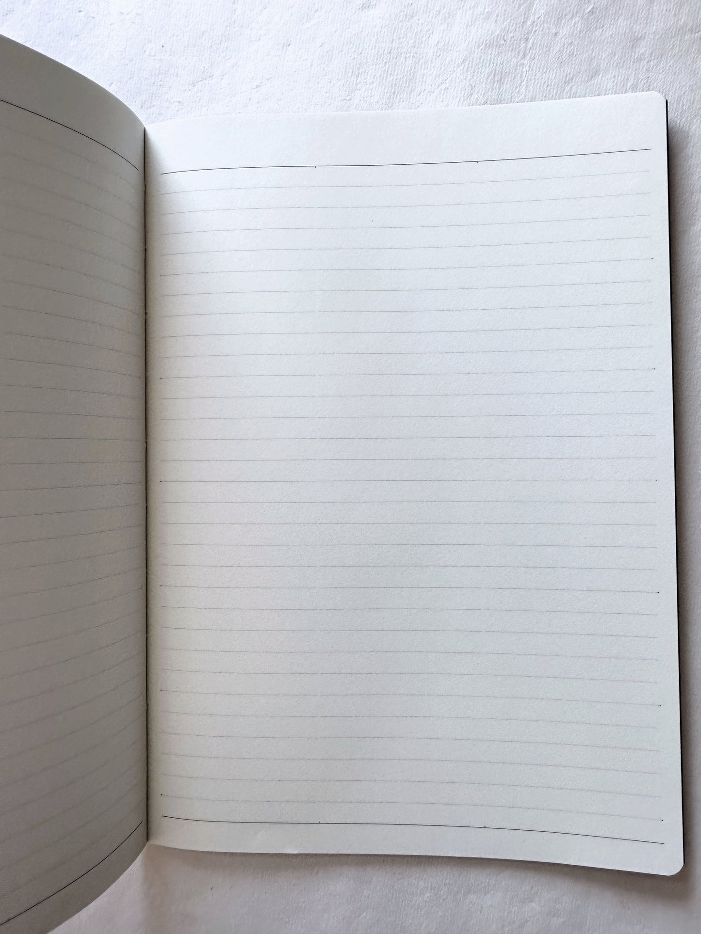 Nolty - A5 Planner No. 6806 Tio, 2-Week Block layout 2025 [CLEARANCE] Note: If you want to try the format before investing in a 2026 edition