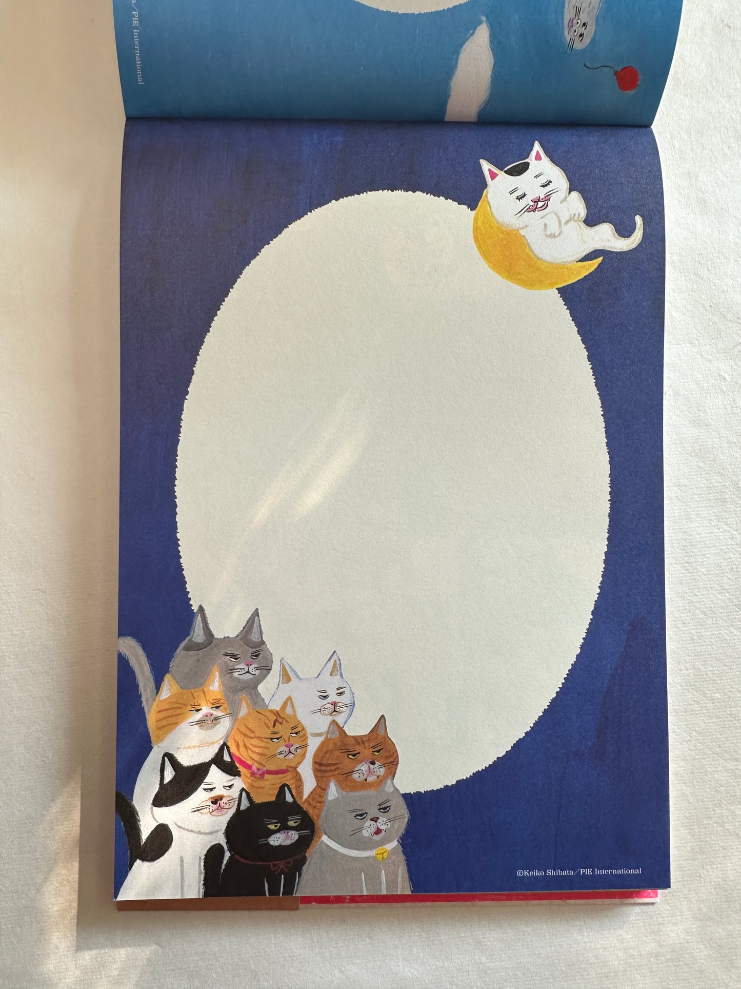 Keiko Shibata's 100 Writing & Crafting Papers (Japanese edition)