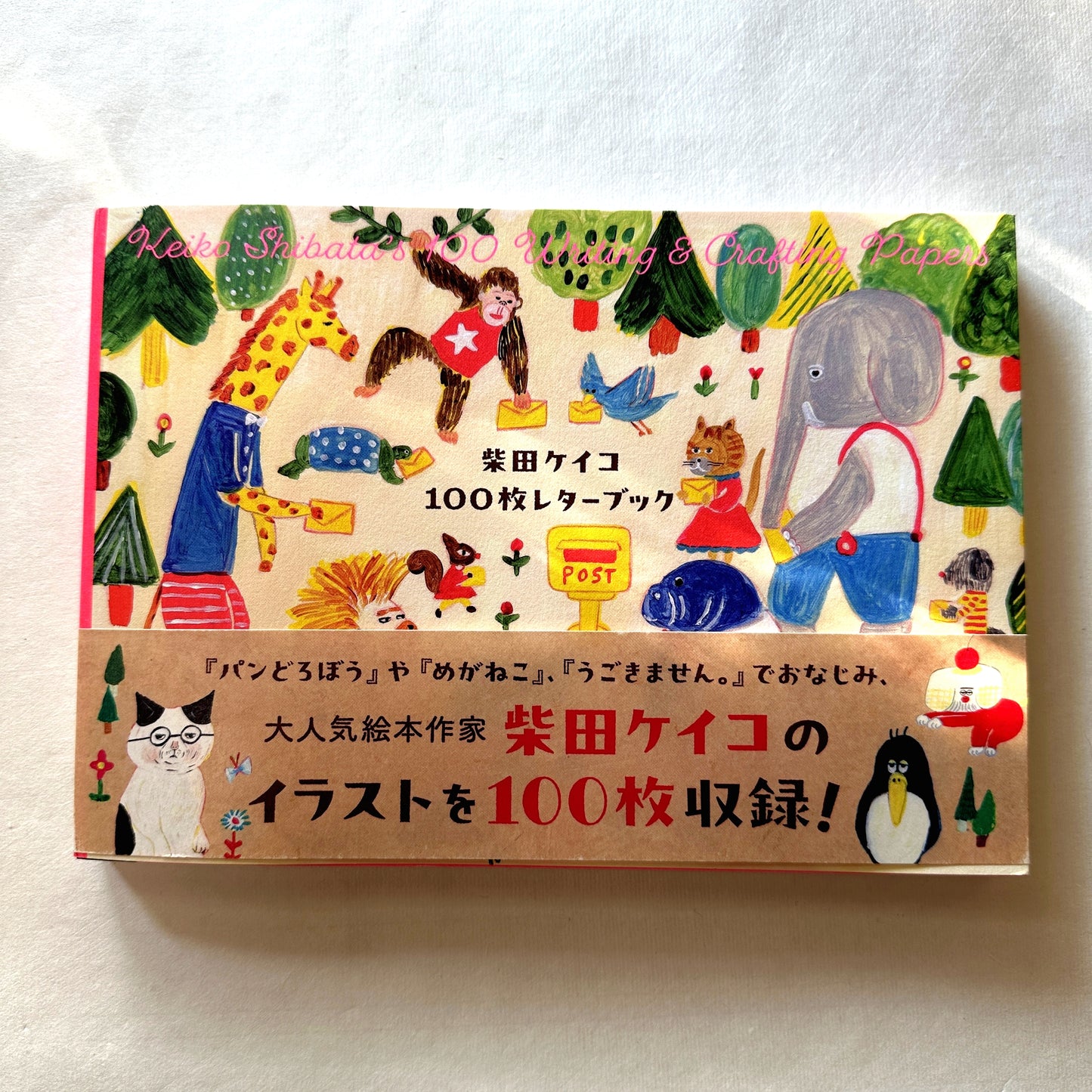 Keiko Shibata's 100 Writing & Crafting Papers (Japanese edition)