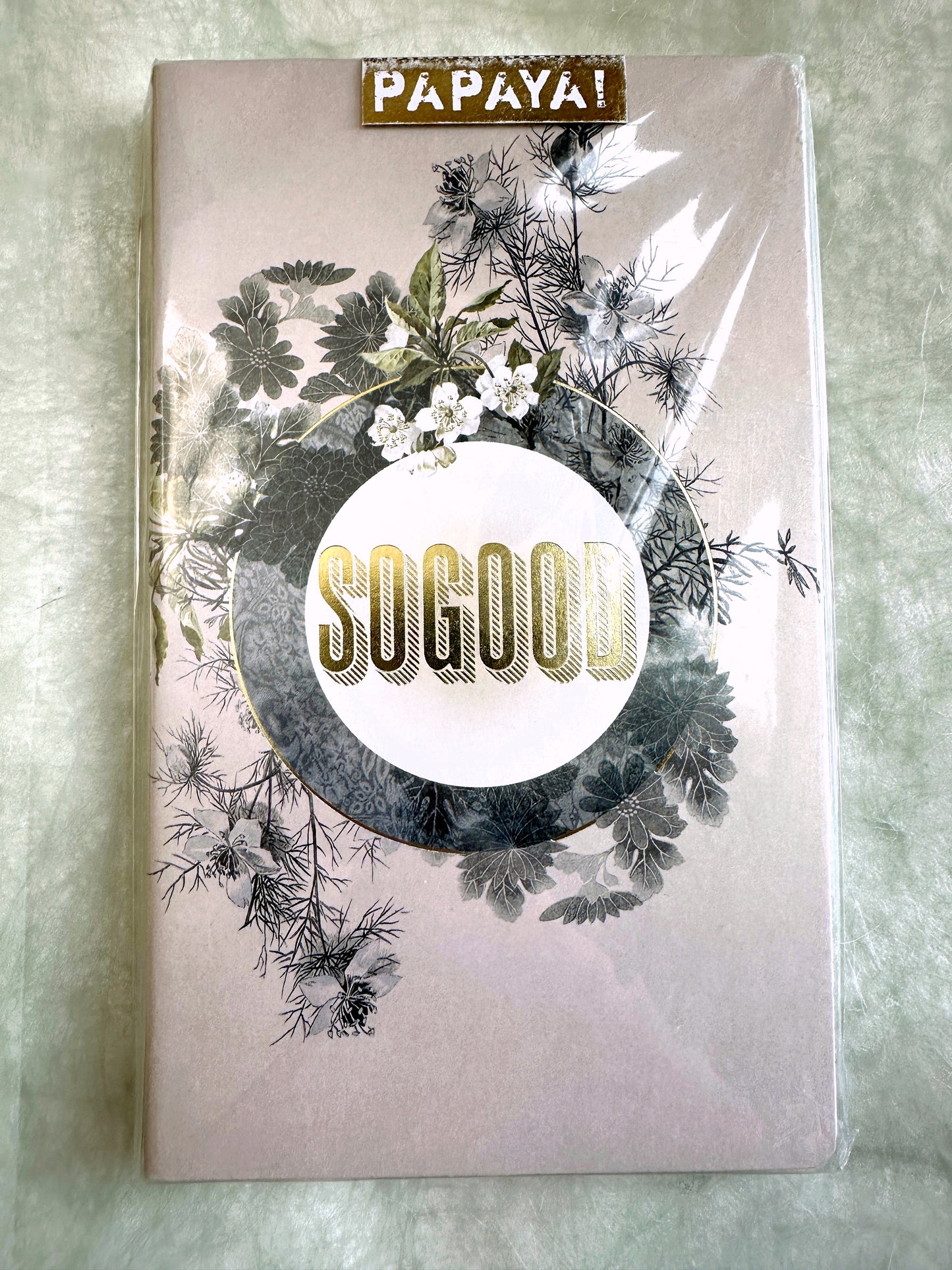 Papaya! - Fortune Sketch & Scribble Notebook Set