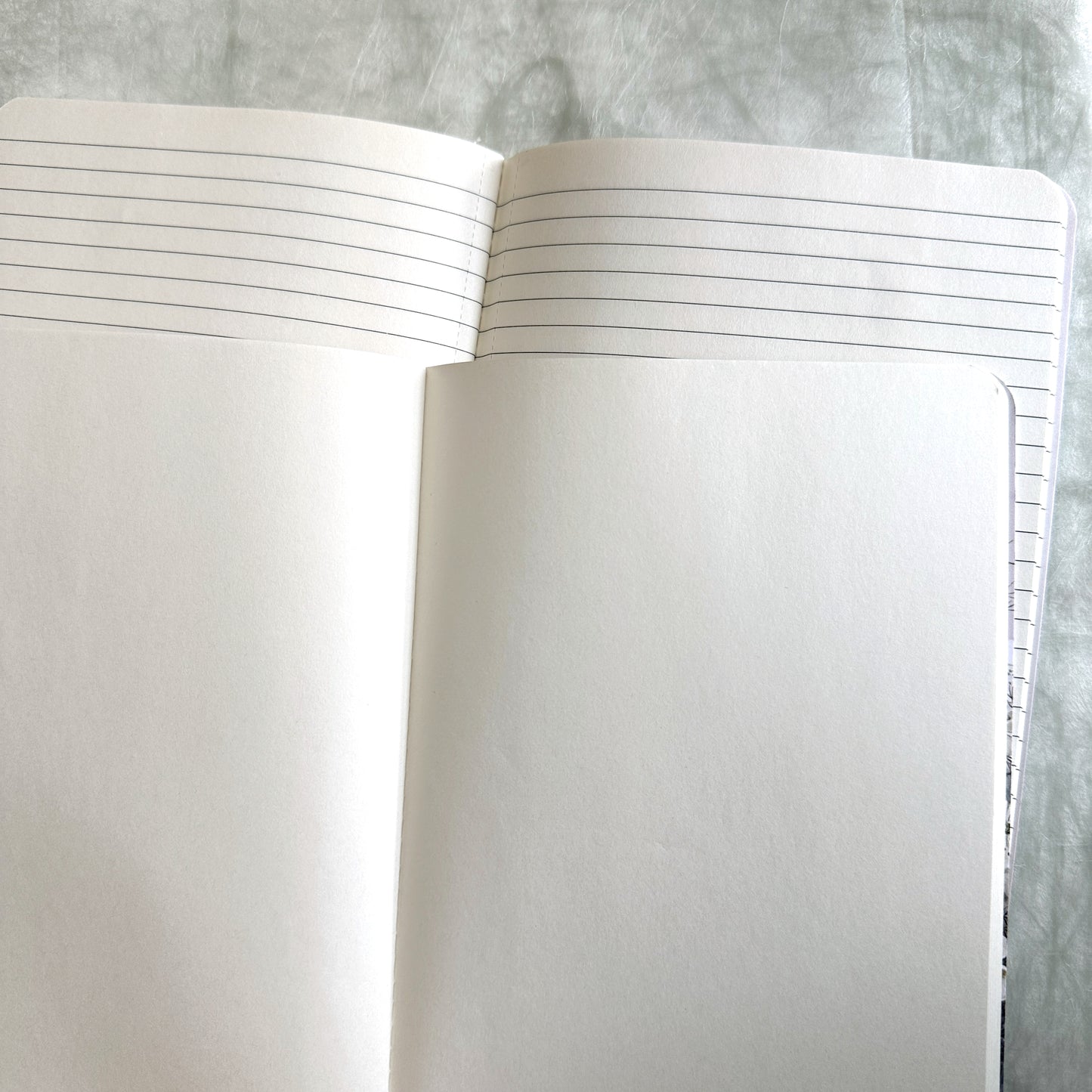 Papaya! - Fortune Sketch & Scribble Notebook Set
