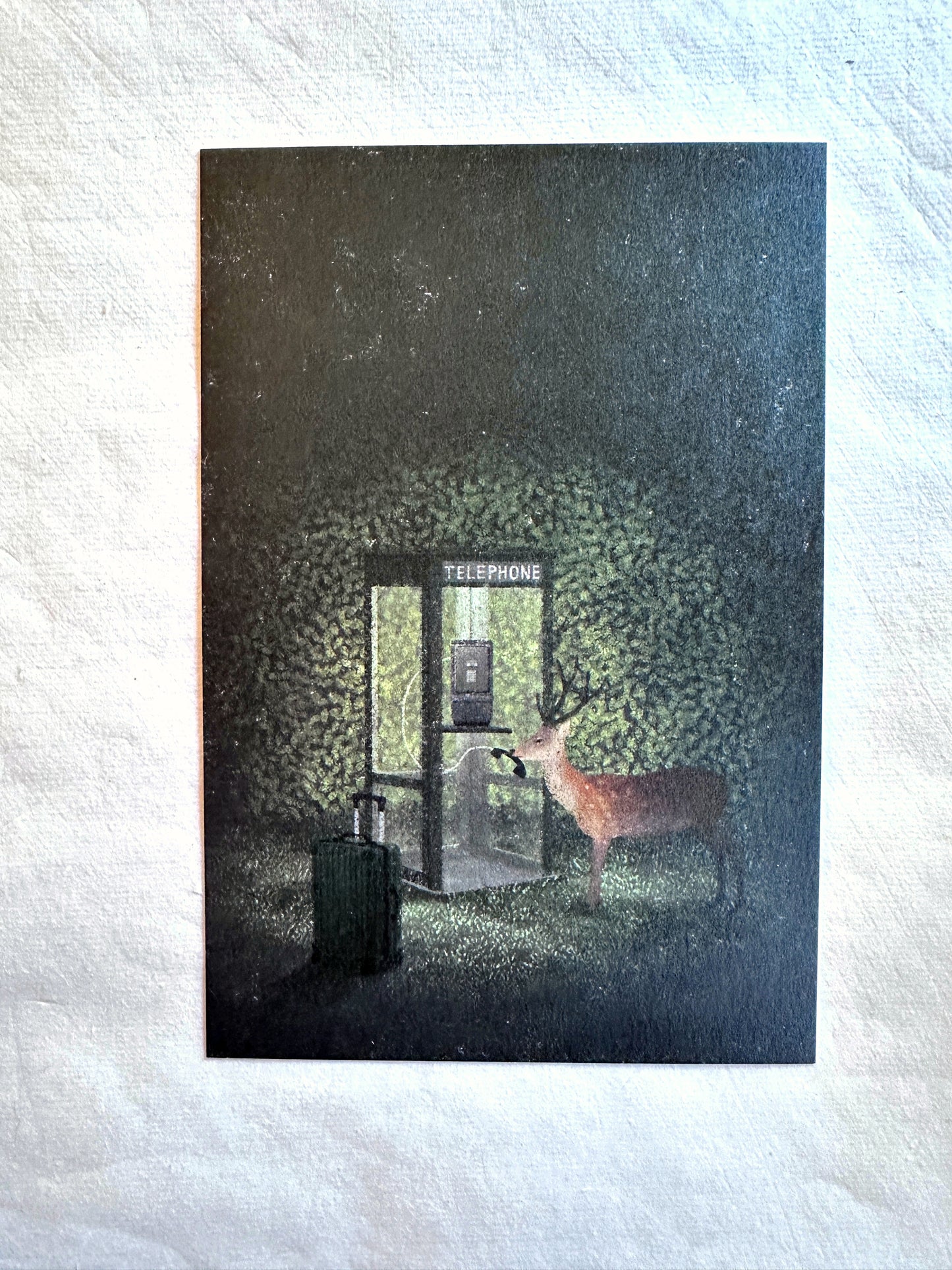 Cozyca Products - Japanese illustrated art postcards by Akira Kusaka, Shinohara Eko, Kurahashirei, Necktie
